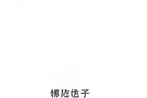 深夜长文回应与通告落款时间比对封面